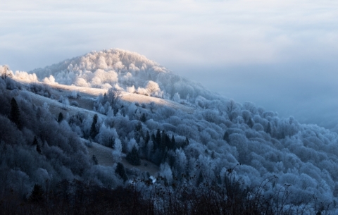 Muránska planina