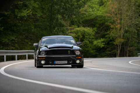 DSC04864